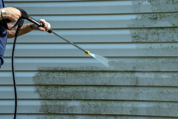 Best Driveway Pressure Washing  in Pleasant Grove, OH